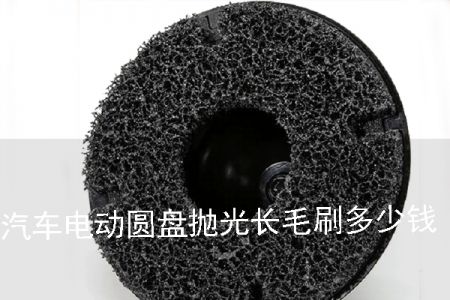 汽車電動圓盤拋光長毛刷多少錢 汽車電動圓盤拋光長毛刷多少錢