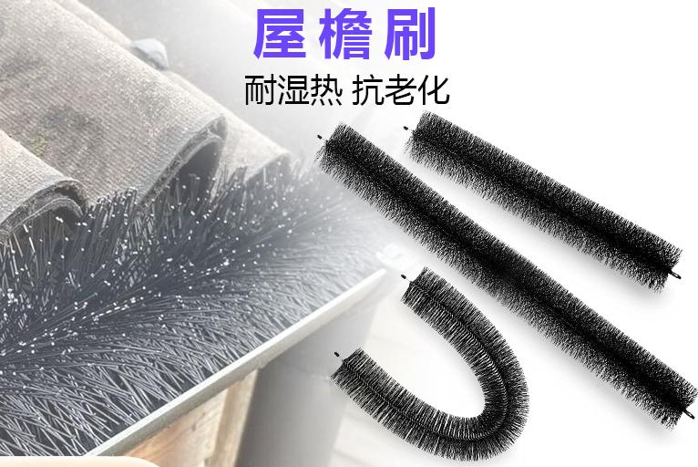 1752135388616767.jpg 畫板 1(1).jpg